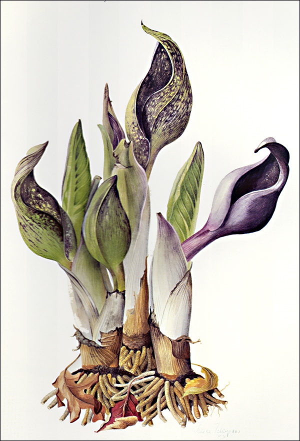 996844e9b626a516fdd19b5ec47807c8