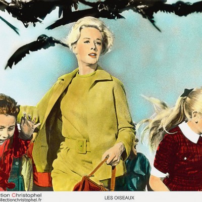 tippi-hedren-dans-les-oiseaux-1963_0_730_614