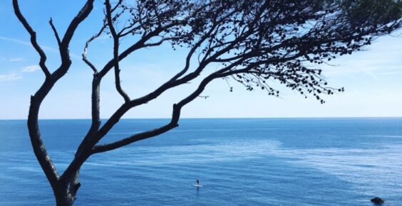 Sylvie Neron-Bancel: écrire à Hyères entre mer et soleil