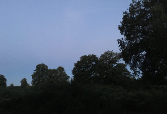 Nouvel atelier pour tous : « LE TEMPS DES MAISONS » / Semaine 7