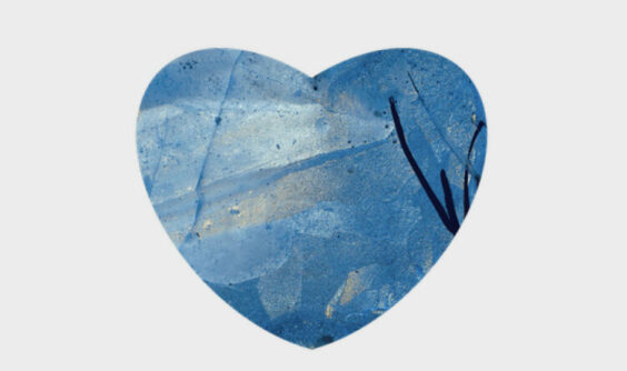 Le temps des maisons / Semaine 6 : Emilia Nice