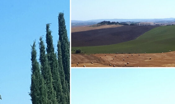 Le temps des maisons / Semaine 8 : Antoinette Koering