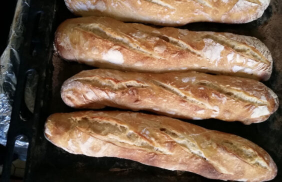 Le temps des maisons / Semaine 8 : Ianluk Tesie