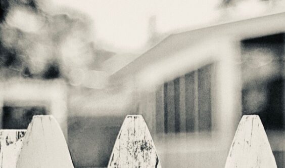 Ma voisine et le Monstre