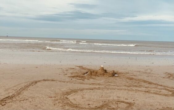 « La mouette » de Sandrine Ardellier, et « Amour perdu » de Cyril Castro