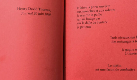 Sandrine Drappier Ferry : Lettre au Poète des Broutilles