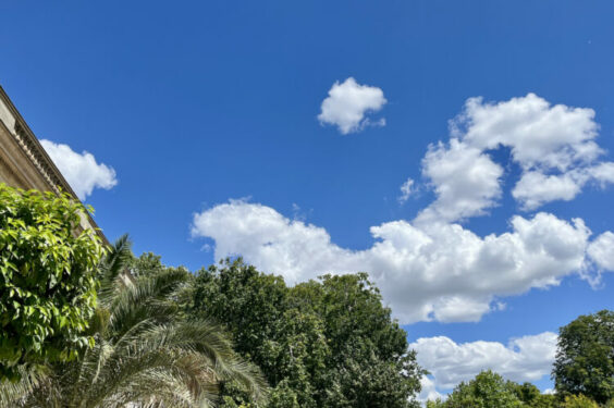 Lysiane Panighini « Germain », Mo’ « Défi », N. Gorce « Marcher pour voir plus loin »