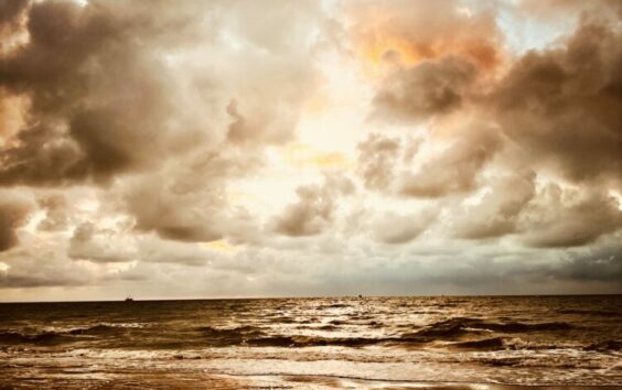 Palmarès : les 5 lauréats du concours de nouvelles « Orage d’été »