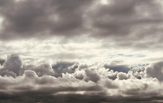 Cadichon dans l’orage