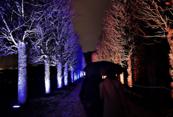 Evelyne Gaeng « Solstice d’hiver » et Ludovic Delebassée « Jour bleu, nuit noire »