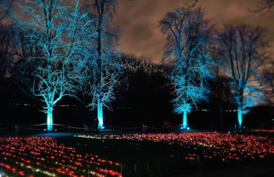 Jean-Marc Glénat « Tapis rouge »