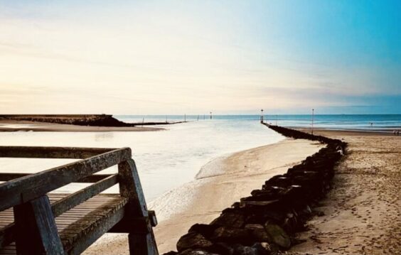 Retours sur les textes écrits à partir de « La Ligne de nage » de Julie Otsuka