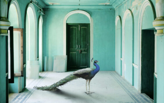 « India Song » de Karen Knorr