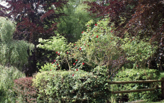 Écrire au Domaine des Herbes à Touques avec Anne Baatard