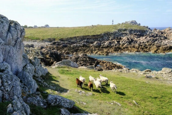 Michèle Cléach « Écrire le paysage », en résidence à Portsall (Finistère)