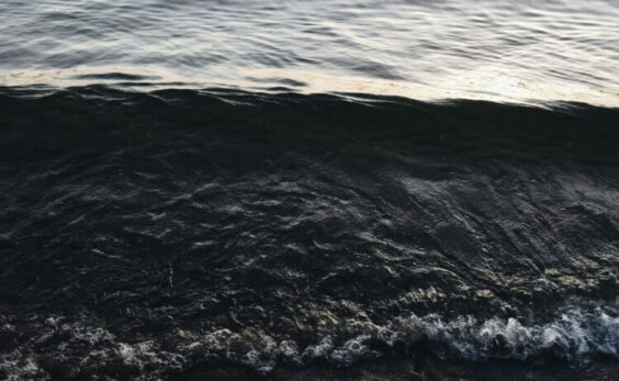 « En eaux troubles », André Cantor