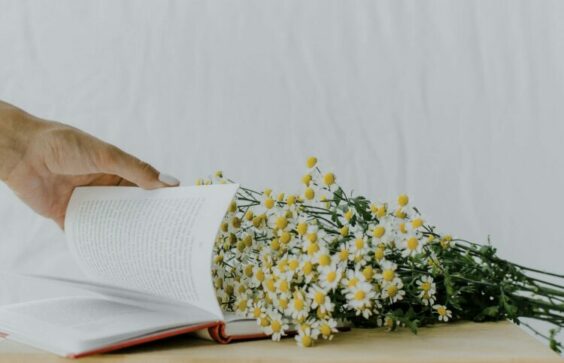 Arlette Mondon-Neycensas « La nouvelle : dire plus en disant moins »